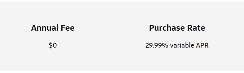 Capital One Platinum Credit Card Review