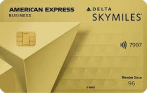 Delta SkyMiles Gold Business American Express Card Review